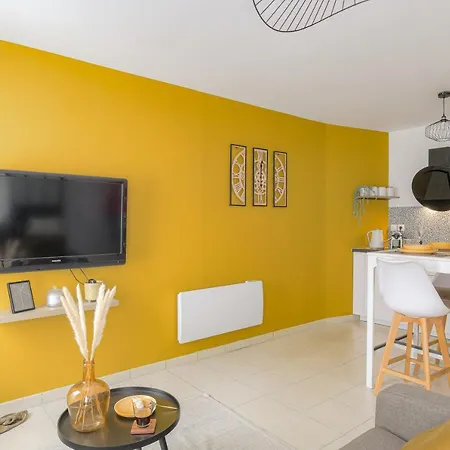 Apartamento Le Louis D'or -acces Facile Gare/eurexpo/aeoroport *